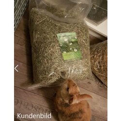 grünhopper Naturwiesenheu 1kg